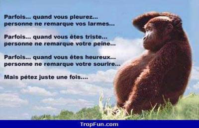 c pas faux