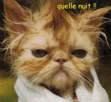 jérome au reveil TERRIBLE!!!!