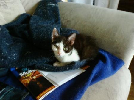 le petit minimoys il est pas mignon???